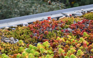 the cost of Dousland green roof installation