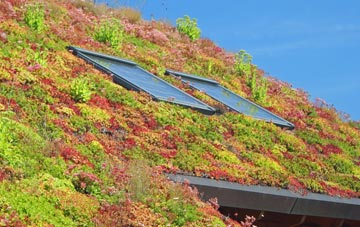 Dousland living roof systems