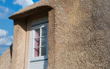 Dousland thatch roof disadvantages