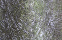 Dousland fibreglass roof work